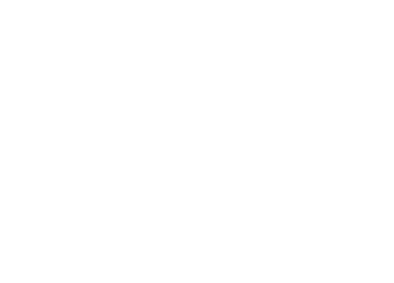 Michelin 2021